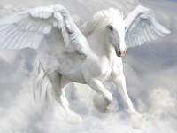 /album/myth-finder/delphinia-aqua-s-pegasus-jpg/